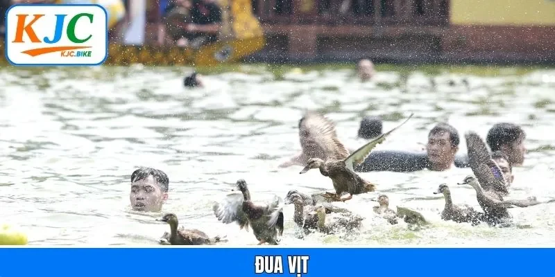 Hoạt Động Đua Vịt - Phát Huy Tinh Thần Đồng Đội Tại KJC